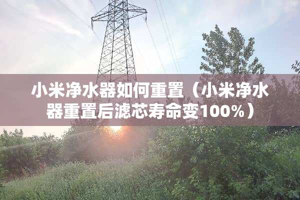 小米***如何重置（小米***重置后滤芯寿命变100%）