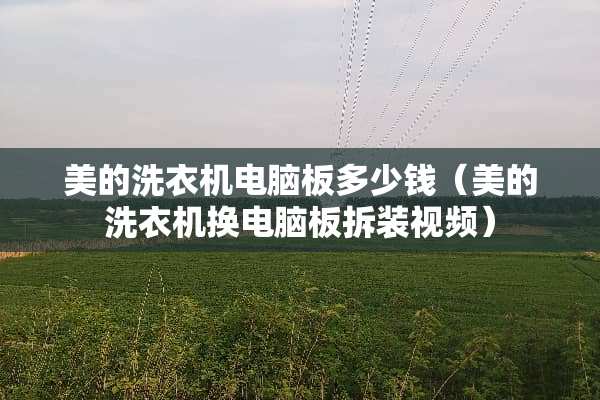 美的洗衣机电脑板多少钱（美的洗衣机换电脑板拆装视频）