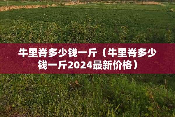 牛里脊多少钱一斤（牛里脊多少钱一斤2024最新价格）