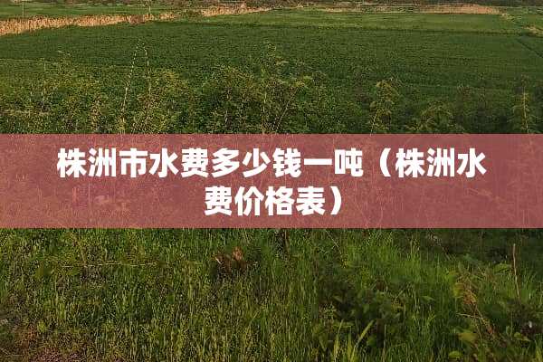株洲市水费多少钱一吨（株洲水费价格表）