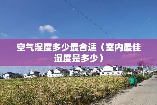 空气湿度多少最合适（室内最佳湿度是多少）