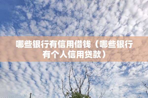 哪些银行有信用借钱（哪些银行有个人信用贷款）