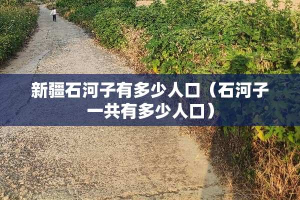 新疆石河子有多少人口（石河子一共有多少人口）