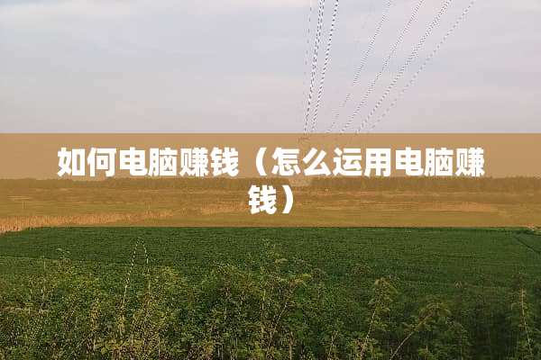 如何电脑赚钱（怎么运用电脑赚钱）