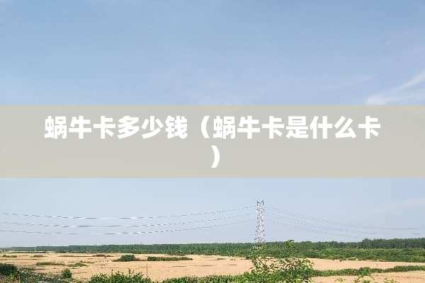 蜗牛卡多少钱（蜗牛卡是什么卡）