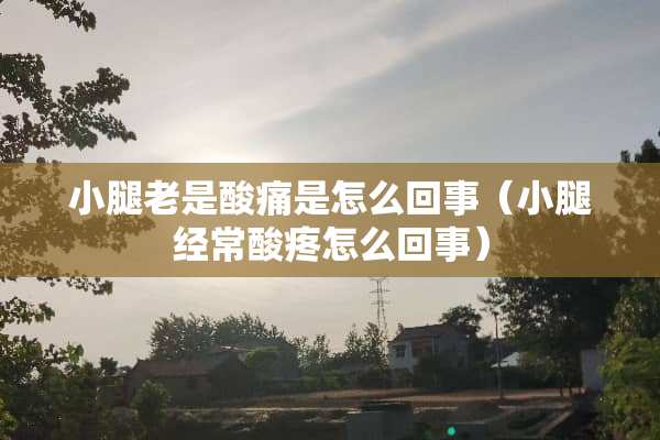 小腿老是酸痛是怎么回事（小腿经常酸疼怎么回事）