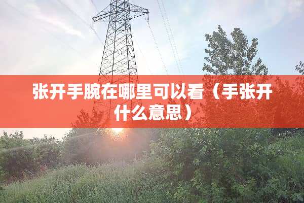 张开手腕在哪里可以看（手张开什么意思）