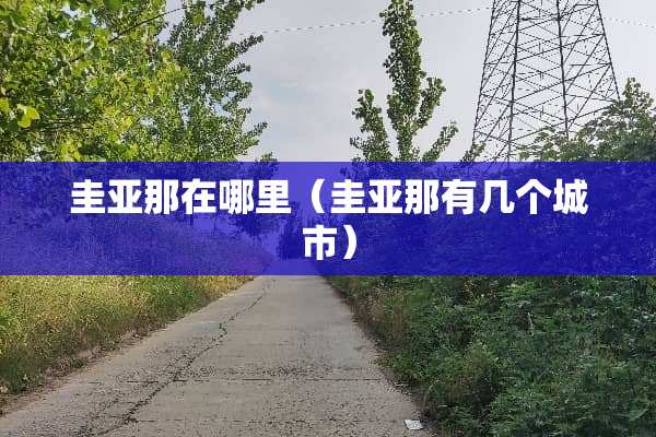 圭亚那在哪里（圭亚那有几个城市）