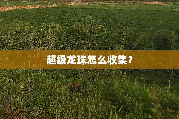 超级龙珠怎么收集？