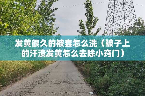 发黄很久的被套怎么洗（被子上的汗渍发黄怎么去除小窍门）