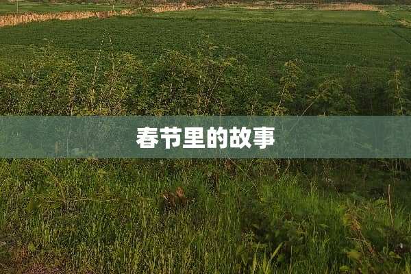 春节里的故事