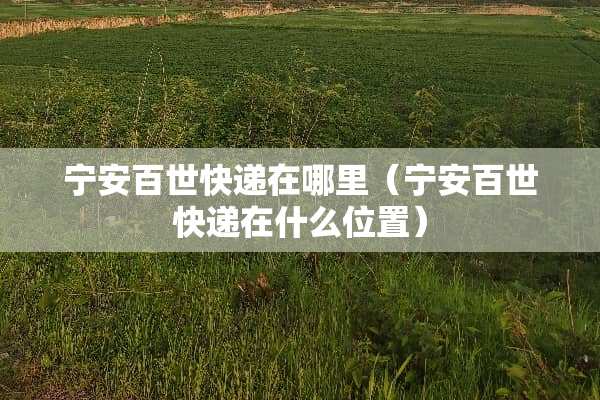宁安百世快递在哪里（宁安百世快递在什么位置）