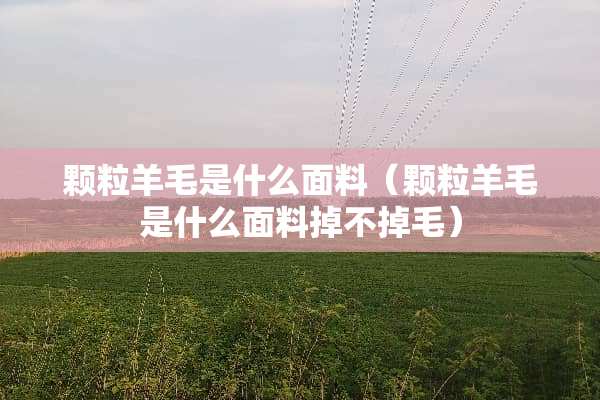 颗粒羊毛是什么面料（颗粒羊毛是什么面料掉不掉毛）