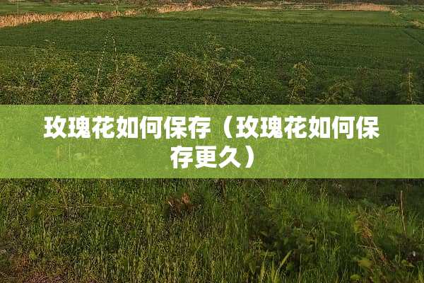 玫瑰花如何保存（玫瑰花如何保存更久）