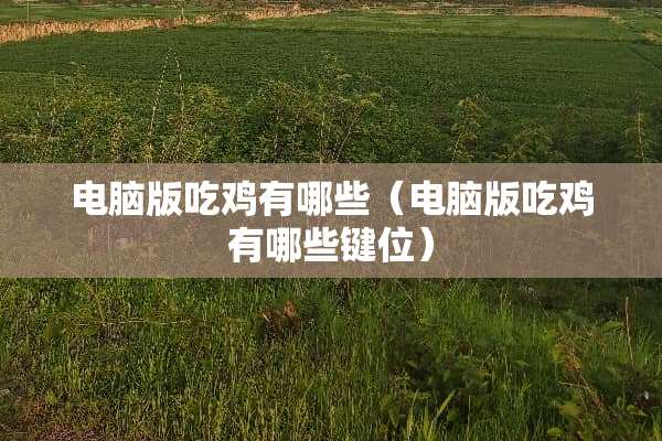 电脑版吃鸡有哪些（电脑版吃鸡有哪些键位）