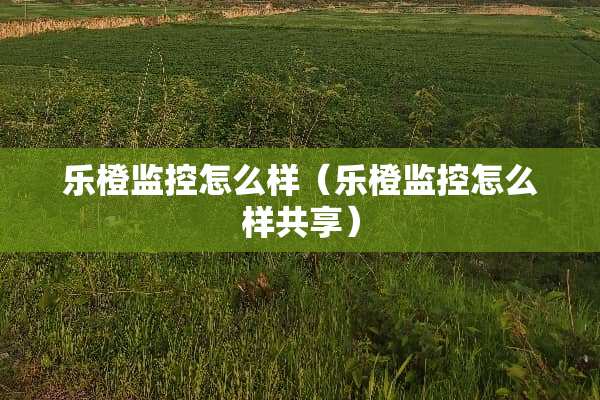 乐橙监控怎么样（乐橙监控怎么样共享）