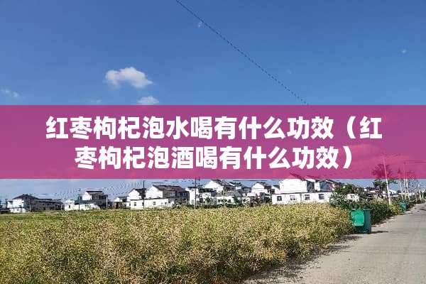 红枣枸杞泡水喝有什么功效（红枣枸杞泡酒喝有什么功效）