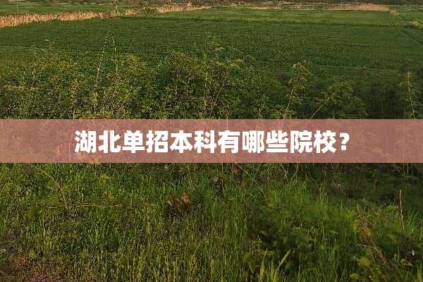 湖北单招本科有哪些院校？