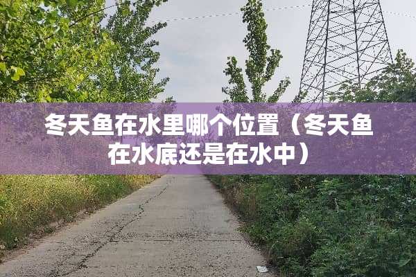 冬天鱼在水里哪个位置（冬天鱼在水底还是在水中）