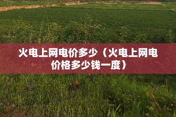 火电上网电价多少（火电上网电价格多少钱一度）