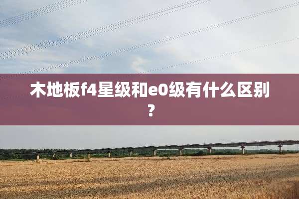 木地板f4星级和e0级有什么区别？