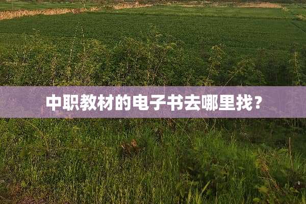 中职教材的电子书去***？