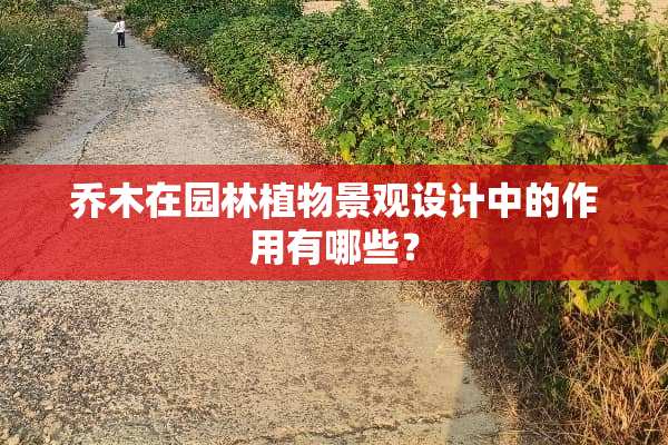 乔木在园林植物景观设计中的作用有哪些？