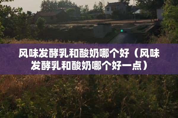 风味发酵*和酸奶哪个好（风味发酵*和酸奶哪个好一点）