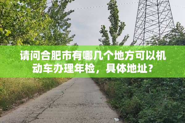 请问合肥市有哪几个地方可以机动车办理年检，具体地址？
