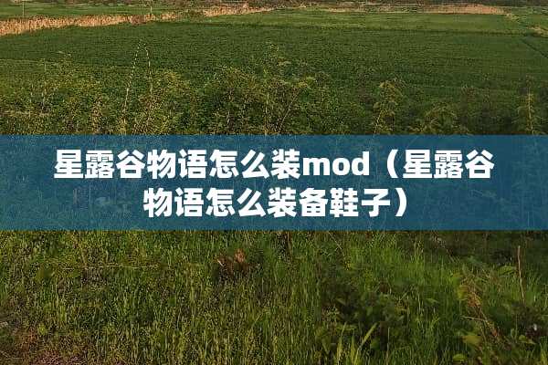 星露谷物语怎么装mod（星露谷物语怎么装备鞋子）