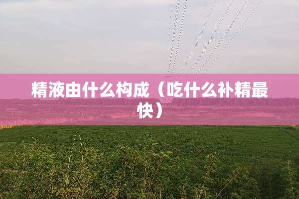 **由什么构成（吃什么补精最快）