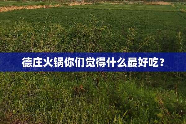 德庄火锅你们觉得什么最好吃？