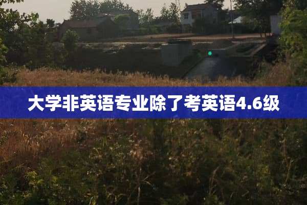 大学非英语专业除了考英语4.6级