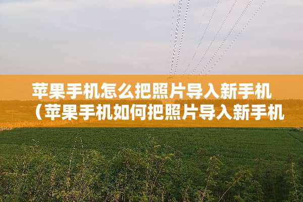 苹果手机怎么把照片导入新手机（苹果手机如何把照片导入新手机）