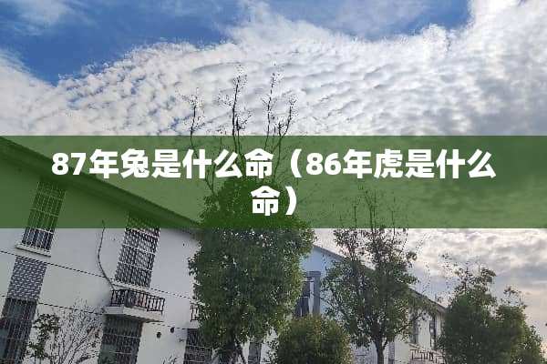 87年兔是什么命（86年虎是什么命）