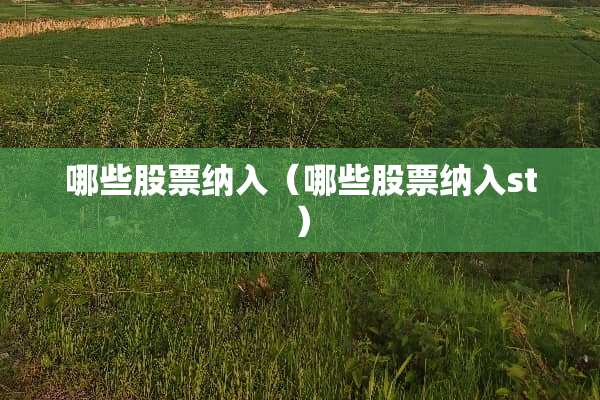 哪些股票纳入（哪些股票纳入st）