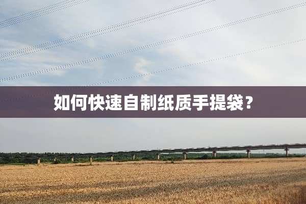 如何快速自制纸质手提袋？