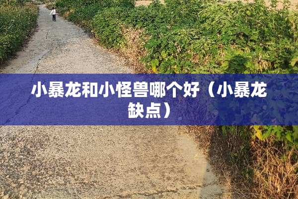 小暴龙和小怪兽哪个好（小暴龙缺点）
