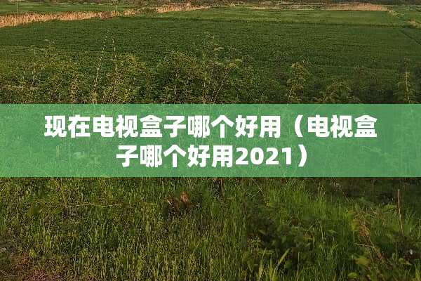 现在电视盒子哪个好用（电视盒子哪个好用2021）