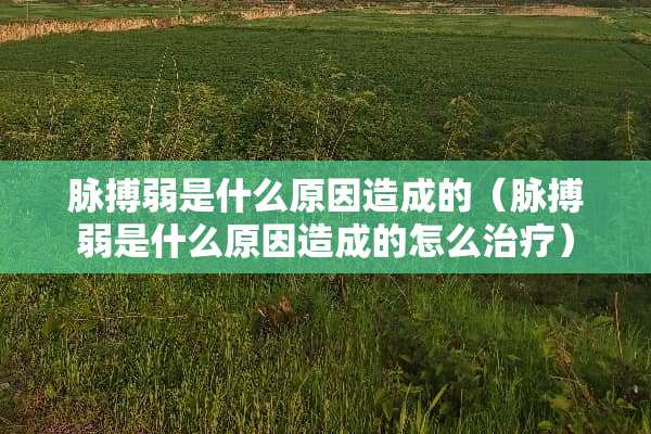 脉搏弱是什么原因造成的（脉搏弱是什么原因造成的怎么治疗）