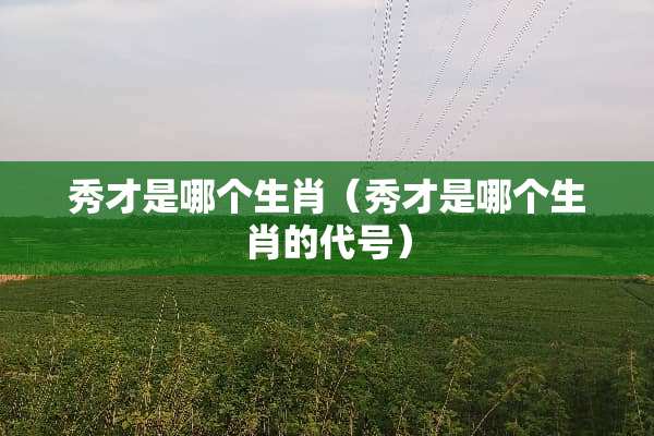 秀才是哪个生肖（秀才是哪个生肖的代号）