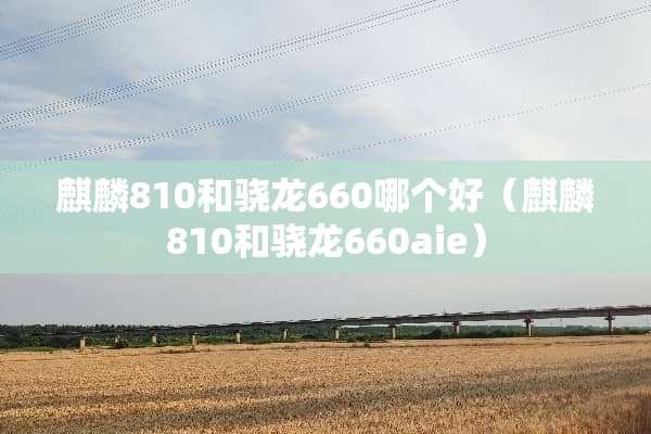 麒麟810和骁龙660哪个好（麒麟810和骁龙660aie）