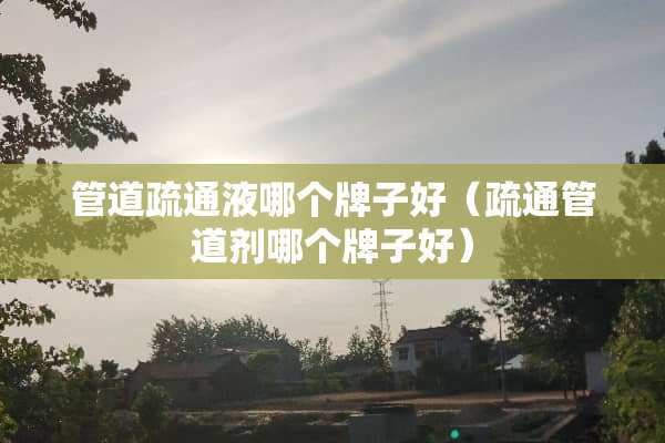 管道疏通液哪个牌子好（疏通管道剂哪个牌子好）