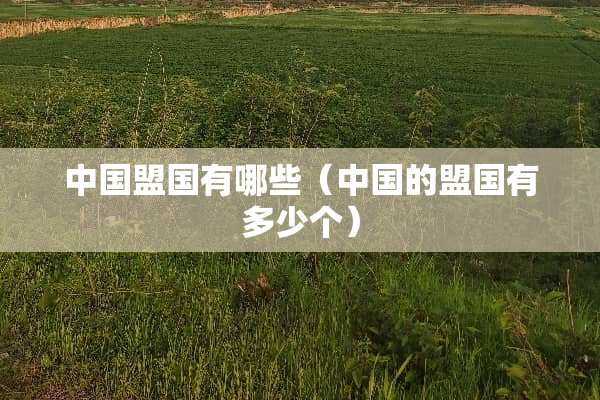 中国盟国有哪些（中国的盟国有多少个）