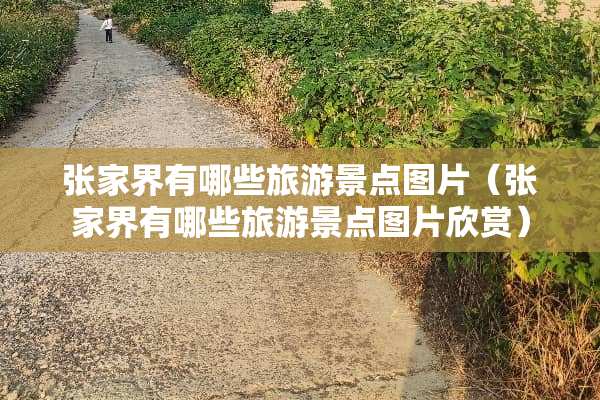 张家界有哪些旅游景点图片（张家界有哪些旅游景点图片欣赏）
