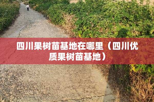 四川果树苗基地在哪里（四川优质果树苗基地）