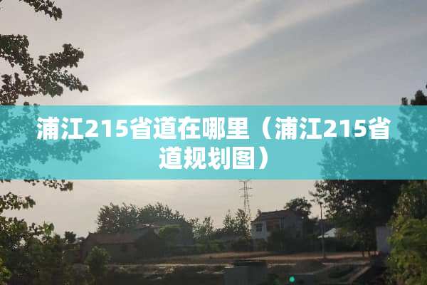 浦江215省道在哪里（浦江215省道规划图）