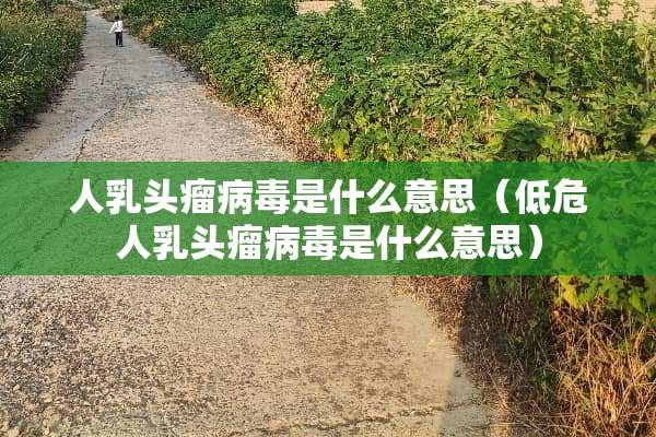 人*头瘤**是什么意思（低危人*头瘤**是什么意思）