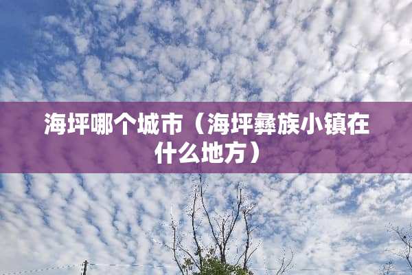 海坪哪个城市（海坪彝族小镇在什么地方）