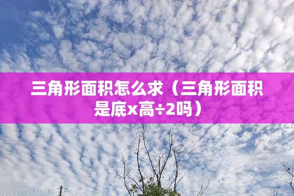 三角形面积怎么求（三角形面积是底x高÷2吗）